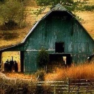 Meet your Posher, Jody